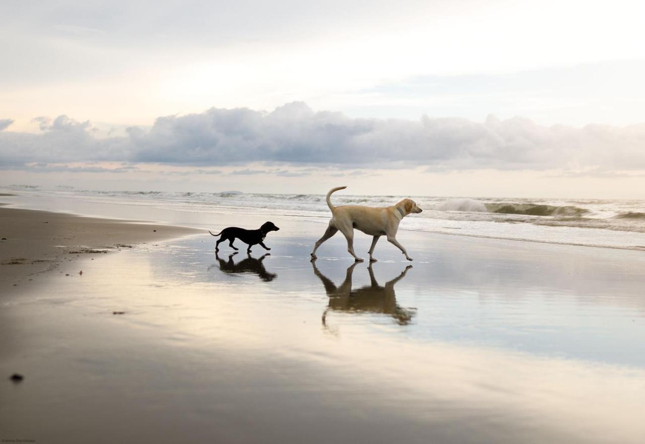 Holiday home Seascape *